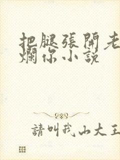 把腿张开老子臊烂你小说