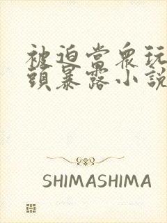 被迫当众玩弄奶头暴露小说封面