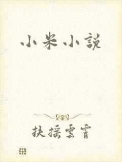 小米小说