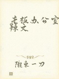 老板办公室系列辣文