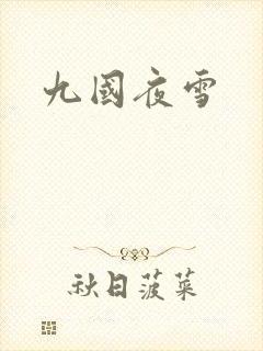 九国夜雪