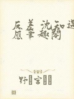 反差 沈知遇晏应笔趣阁