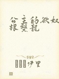 公主的欲奴h四根双龙