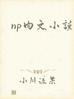 np肉文小说
