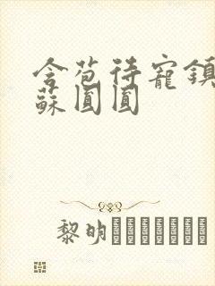 含苞待宠镇国公苏圆圆