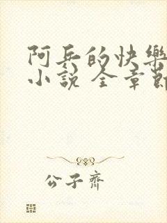 阿兵的快乐生活小说 全章节阅读免费