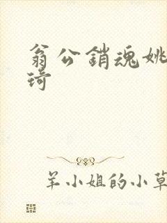 翁公销魂姚瑶琦琦