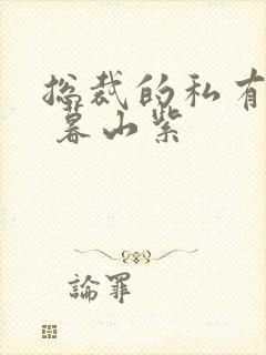 总裁的私有宝贝 暮山紫封面