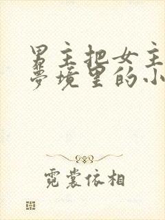 男主把女主拖进梦境里的小说