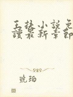 王扶小说免费阅读最新章节无弹窗