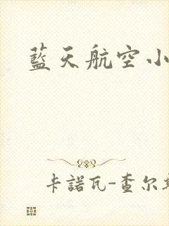 蓝天航空小说封面