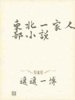 东北一家人第一部小说封面