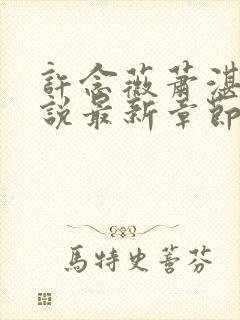 许念薇萧湛明小说最新章节免费阅读