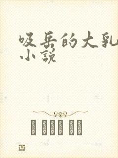 吸岳的大乳奶头小说