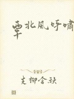 西北风呼啸的中午