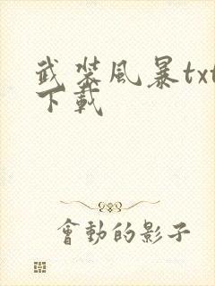 武装风暴txt下载
