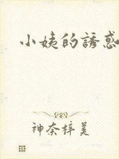 小姨的诱惑小说封面