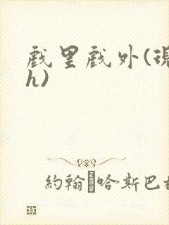 戏里戏外(现场h)