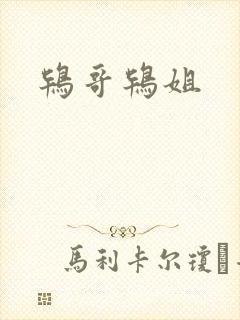 鸨哥鸨姐