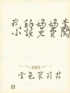 我的妈妈李小雅小说免费阅读