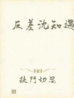 反差沈知遇晏应