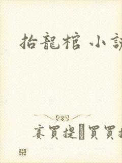 抬龙棺 小说封面