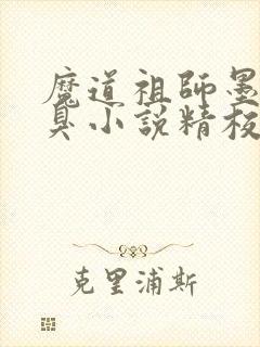魔道祖师墨香铜臭小说精校版全集txt