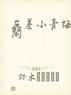 反差小青梅笔趣阁