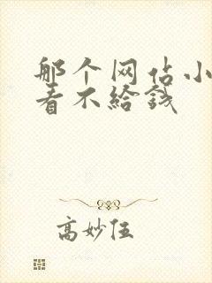 那个网站小说好看不给钱封面