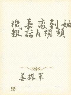 机长脔到她哭h粗话h视频