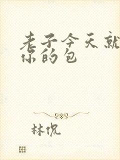 老子今天就要开你的包