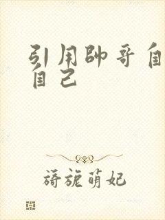 引用帅哥自己玩自己封面