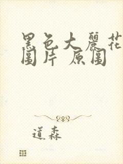 黑色大丽花真实图片 原图封面