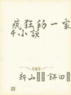 疯狂的一家ps4小说