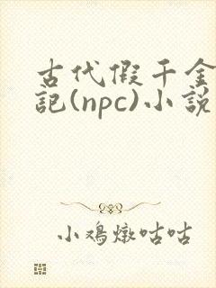 古代假千金挨日记(npc)小说