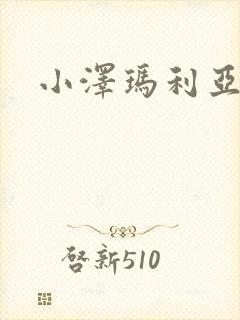 小泽玛利亚作品