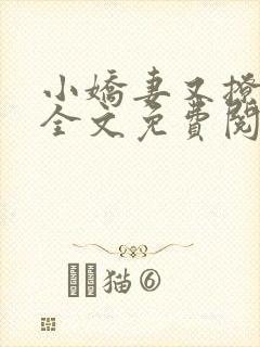 小娇妻又撩又甜全文免费阅读