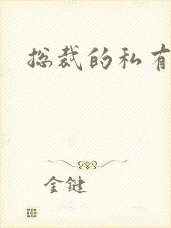 总裁的私有宝贝