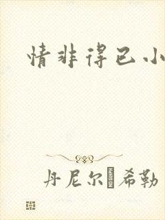 情非得已小说封面