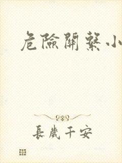 危险关系小说封面