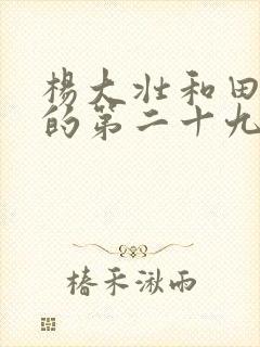 杨大壮和田桂花的第二十九