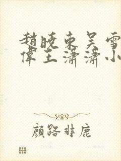 赵晓东吴雪晴郑伟王潇潇小说