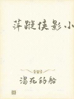 萍踪侠影小说封面