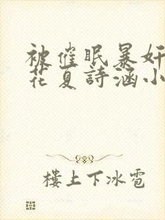 被催眠暴奸的校花夏诗涵小说