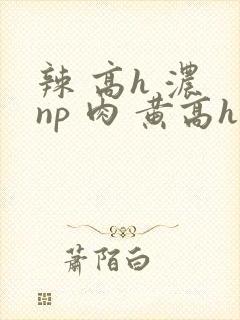 辣 高h 浓 np 肉 黄高h