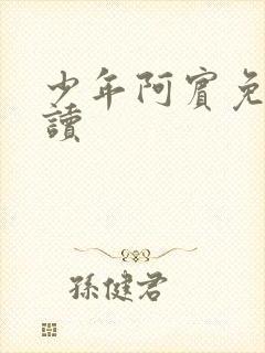 少年阿宾免费阅读封面