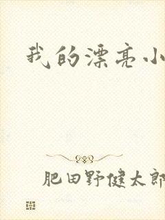 我的漂亮小后妈