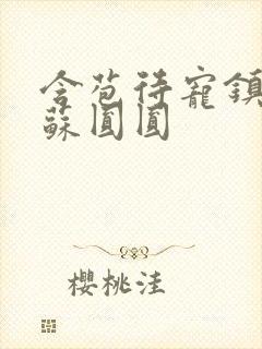 含苞待宠镇国公苏圆圆