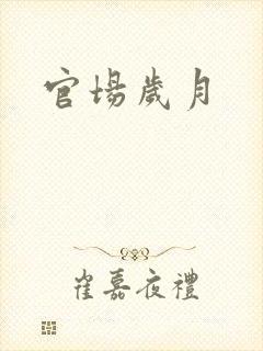 官场岁月封面