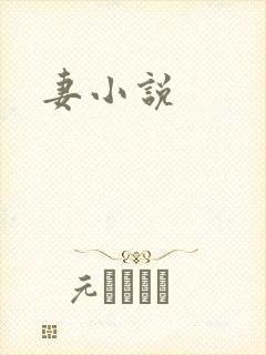 妻小说